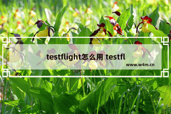 testflight怎么用 testflight怎么用贴吧