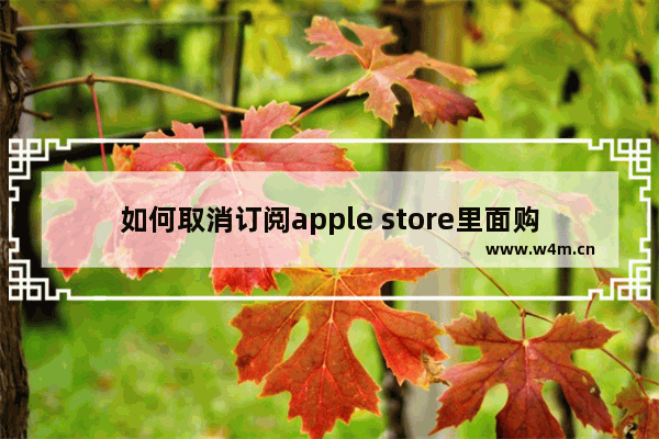 如何取消订阅apple store里面购买的项目：如何取消订阅apple store里面购买的项目苹果11