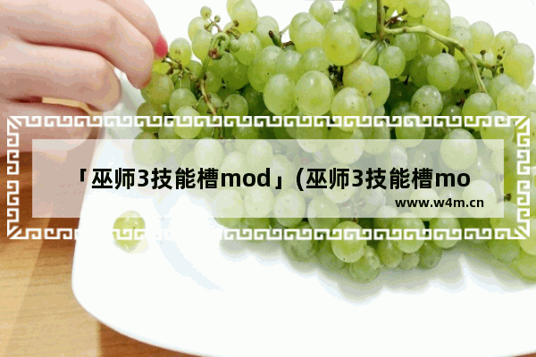 「巫师3技能槽mod」(巫师3技能槽mod怎么解锁)