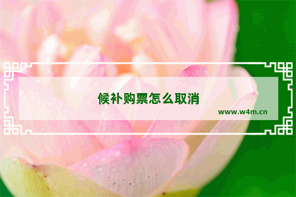 候补购票怎么取消