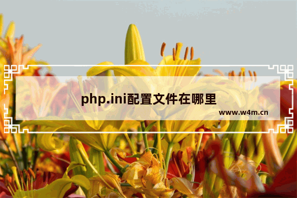 php.ini配置文件在哪里