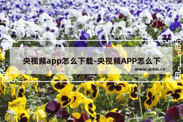 央视频app怎么下载-央视频APP怎么下载视频