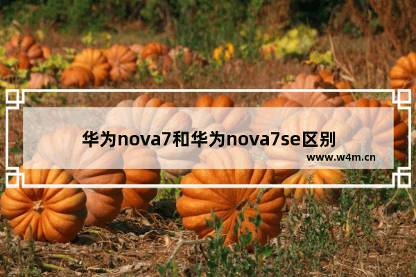 华为nova7和华为nova7se区别