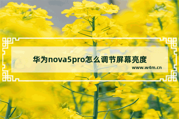 华为nova5pro怎么调节屏幕亮度