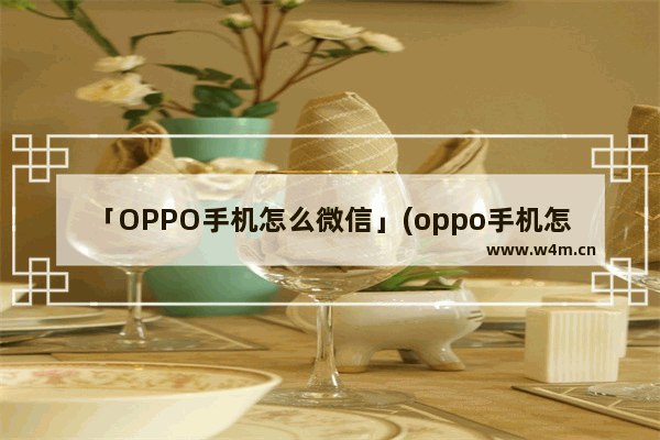 「OPPO手机怎么微信」(oppo手机怎么微信录音在哪)