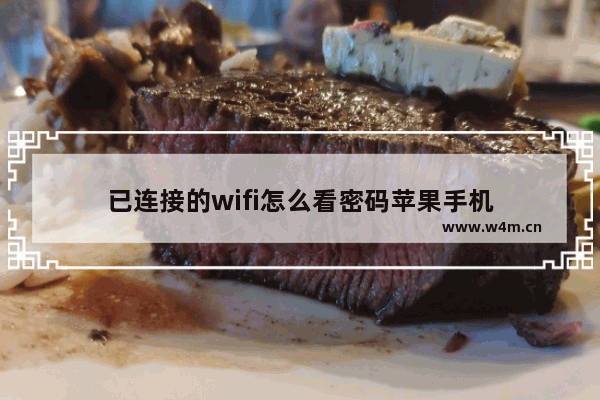 已连接的wifi怎么看密码苹果手机