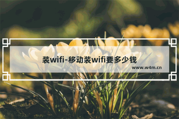 装wifi-移动装wifi要多少钱