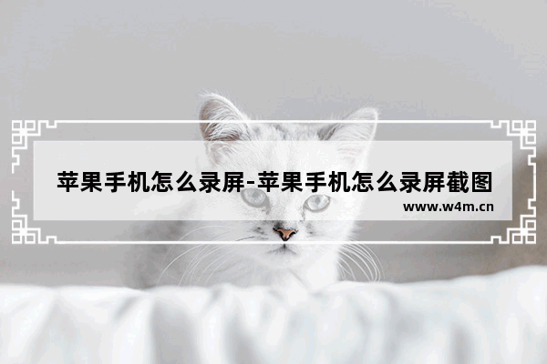 苹果手机怎么录屏-苹果手机怎么录屏截图