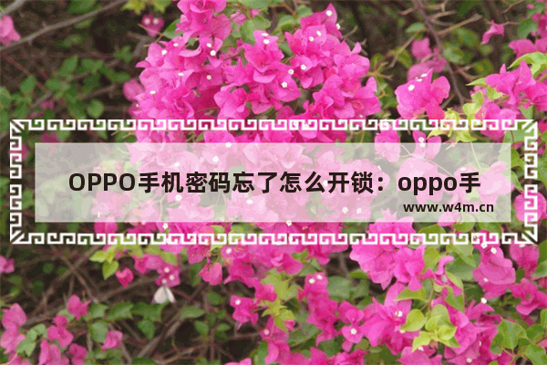 OPPO手机密码忘了怎么开锁：oppo手机密码忘了怎么开锁4位数字