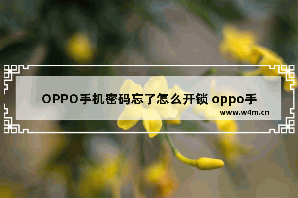 OPPO手机密码忘了怎么开锁 oppo手机密码忘了怎么开锁不想失去数据