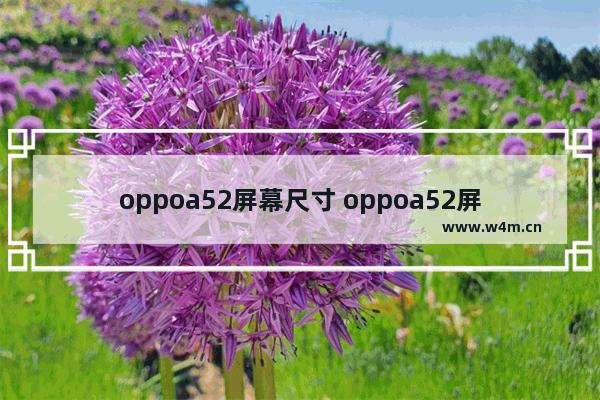 oppoa52屏幕尺寸 oppoa52屏幕尺寸多大