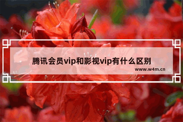 腾讯会员vip和影视vip有什么区别