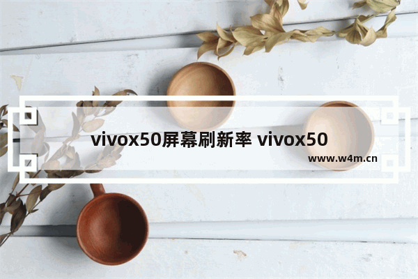 vivox50屏幕刷新率 vivox50屏幕刷新率怎么调