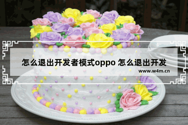 怎么退出开发者模式oppo 怎么退出开发者模式opporeno2z