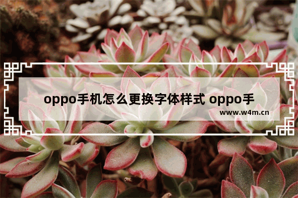 oppo手机怎么更换字体样式 oppo手机更换字体样式的步骤