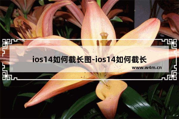 ios14如何截长图-ios14如何截长图截屏