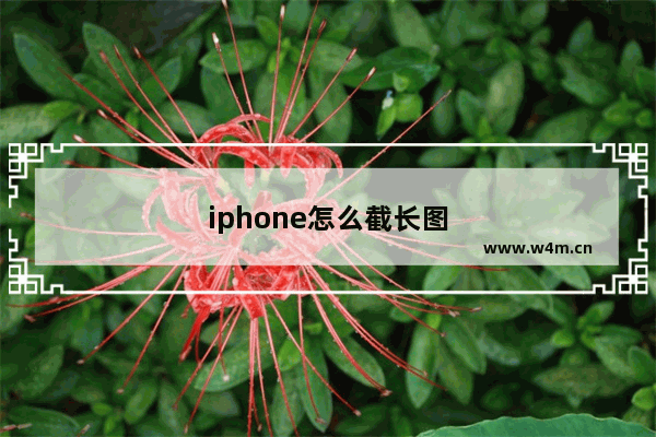 iphone怎么截长图