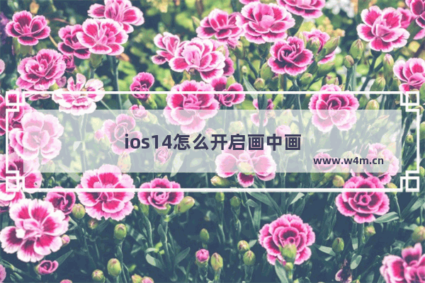 ios14怎么开启画中画