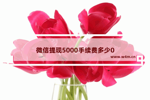 微信提现5000手续费多少0