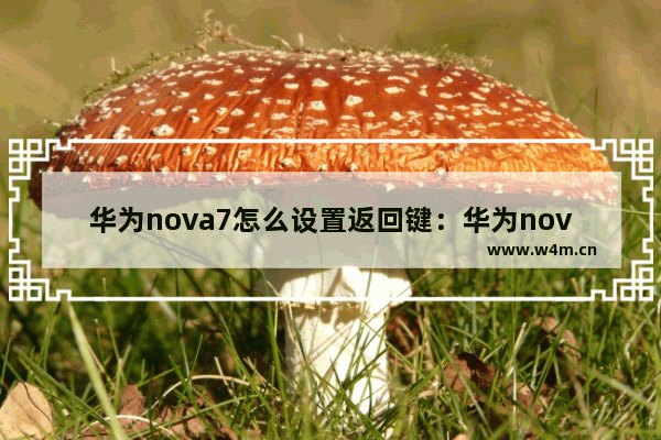 华为nova7怎么设置返回键：华为nova7怎么设置返回键在右边