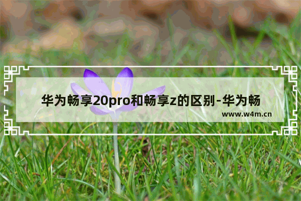 华为畅享20pro和畅享z的区别-华为畅享20pro和畅享z的区别外形是一样的吗