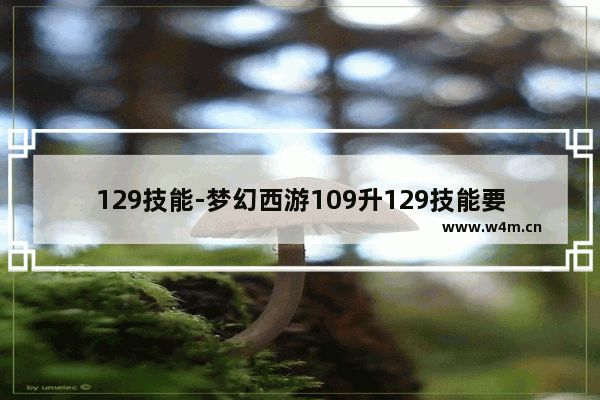 129技能-梦幻西游109升129技能要求