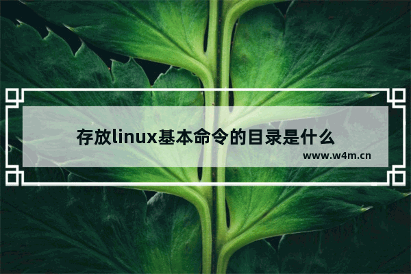 存放linux基本命令的目录是什么