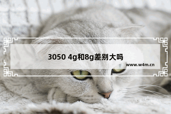 3050 4g和8g差别大吗