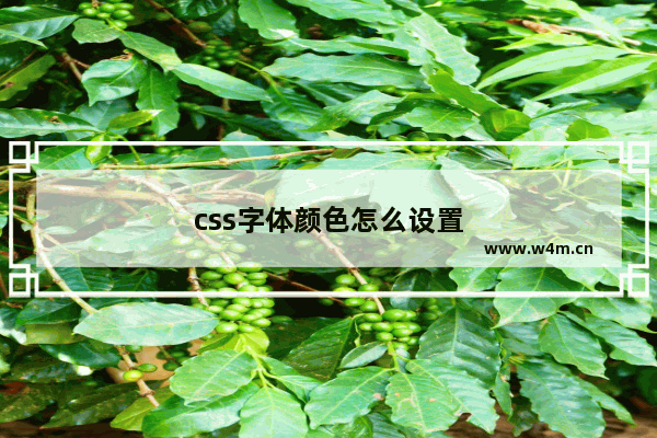 css字体颜色怎么设置