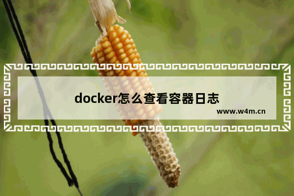 docker怎么查看容器日志