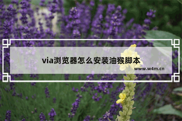 via浏览器怎么安装油猴脚本