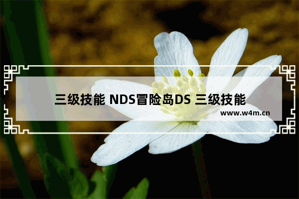 三级技能 NDS冒险岛DS 三级技能