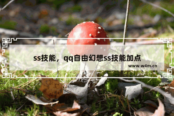 ss技能，qq自由幻想ss技能加点