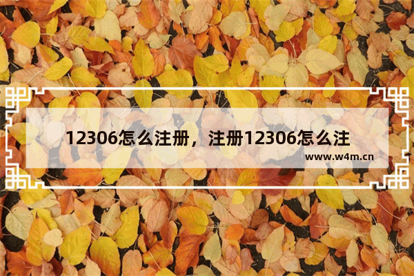 12306怎么注册，注册12306怎么注册失败