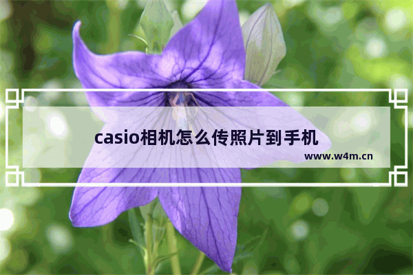 casio相机怎么传照片到手机