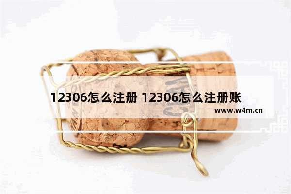 12306怎么注册 12306怎么注册账号用户名什么是电子邮件