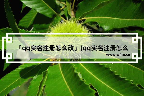 「qq实名注册怎么改」(qq实名注册怎么改身份证)