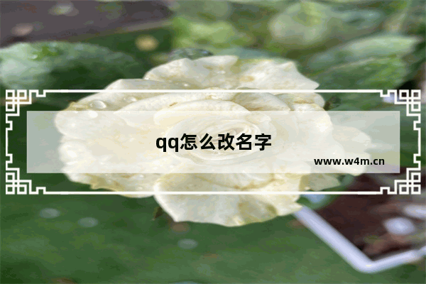 qq怎么改名字