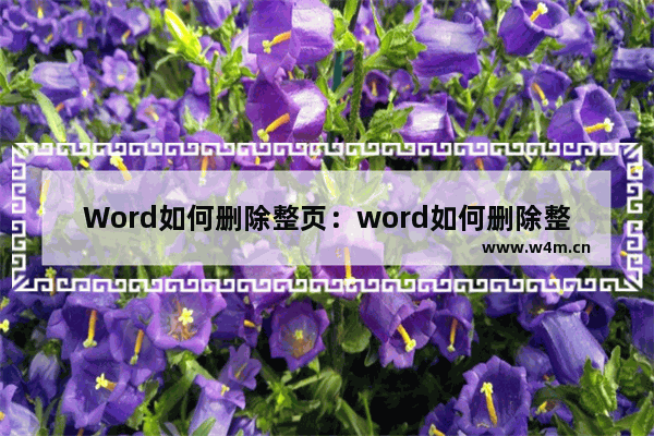 Word如何删除整页：word如何删除整页的内容