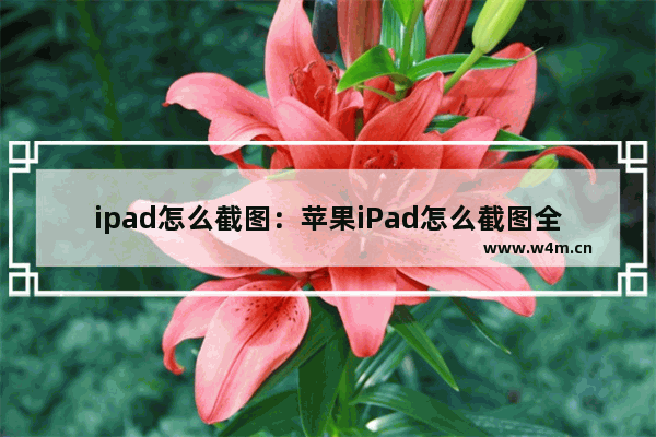 ipad怎么截图：苹果iPad怎么截图全屏长图