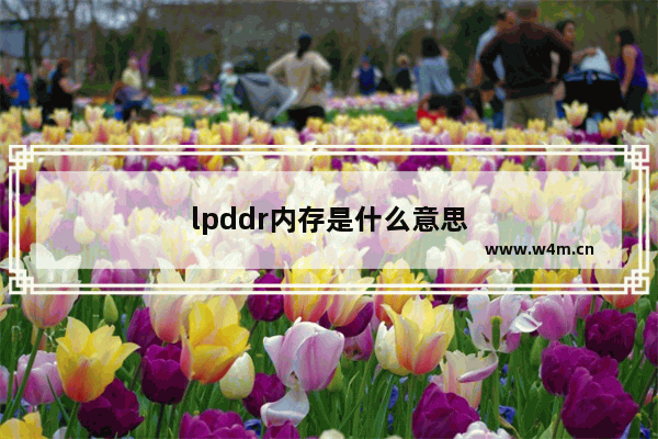 lpddr内存是什么意思