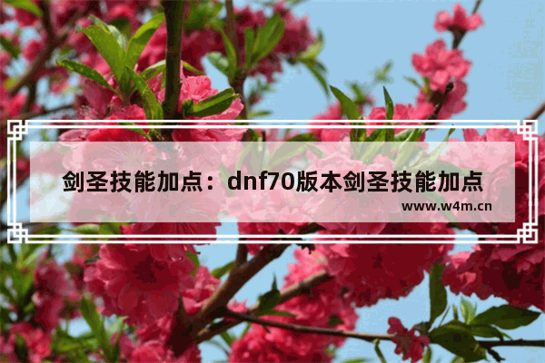 剑圣技能加点：dnf70版本剑圣技能加点