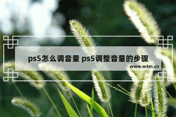 ps5怎么调音量 ps5调整音量的步骤