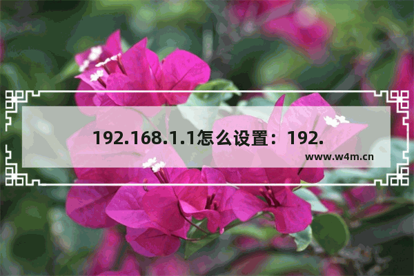 192.168.1.1怎么设置：192.168.1.1怎么设置网络