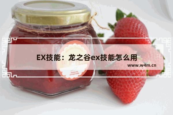 EX技能：龙之谷ex技能怎么用