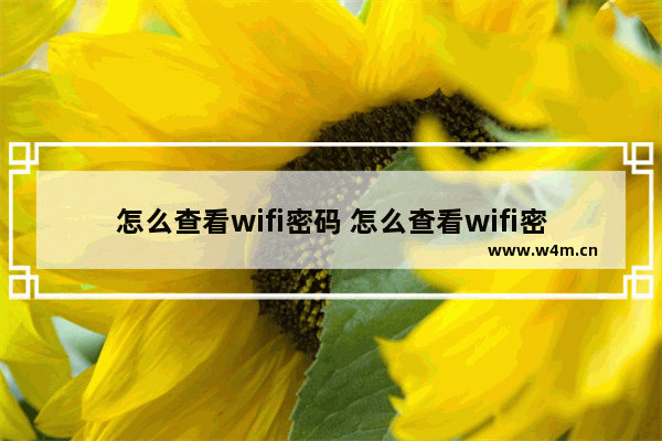 怎么查看wifi密码 怎么查看wifi密码钥匙的密码