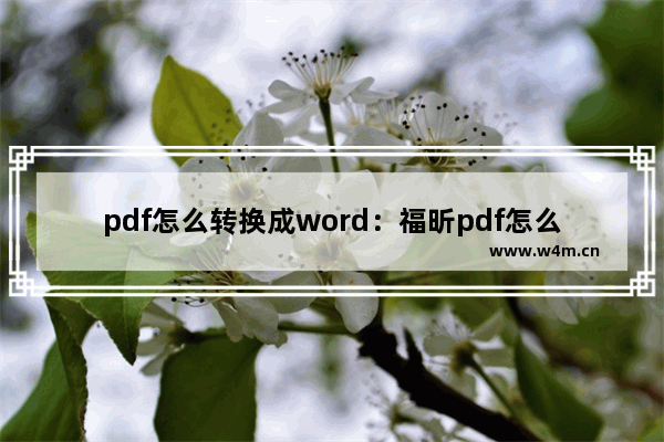 pdf怎么转换成word：福昕pdf怎么转换成word文档