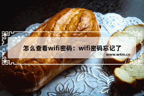 怎么查看wifi密码：wifi密码忘记了怎么查看wifi密码