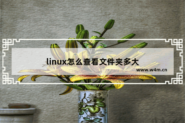 linux怎么查看文件夹多大