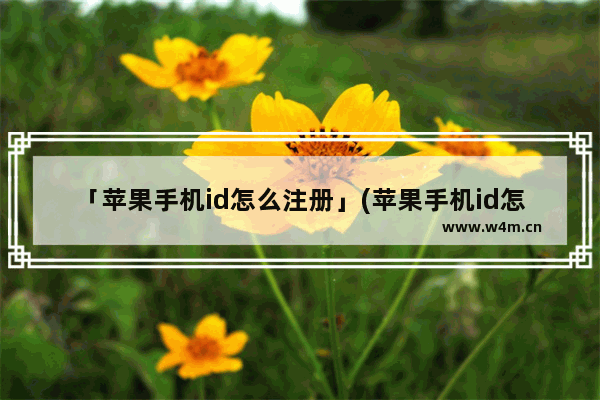 「苹果手机id怎么注册」(苹果手机id怎么注册教程)